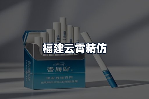 福建云霄精仿